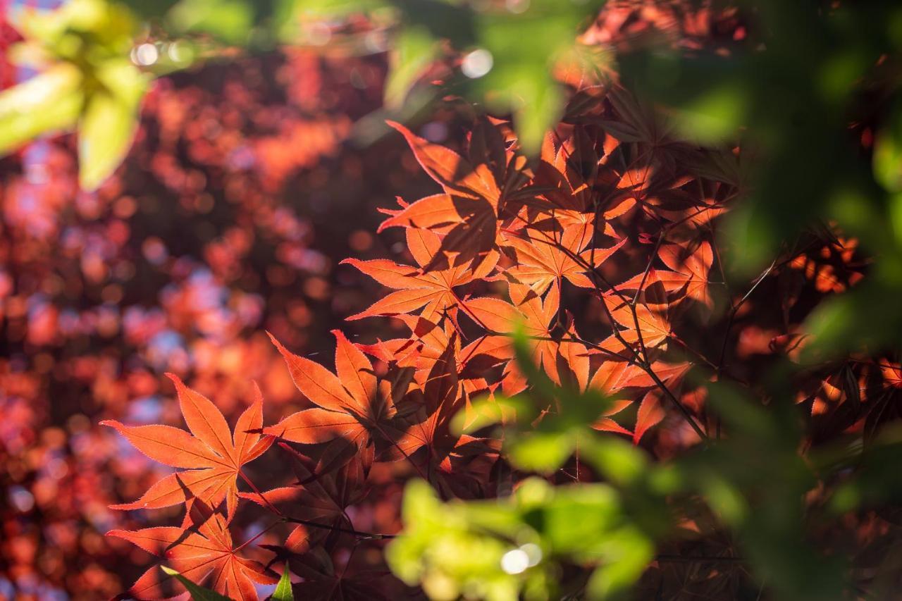 清境英格曼花園民宿 Renai Buitenkant foto