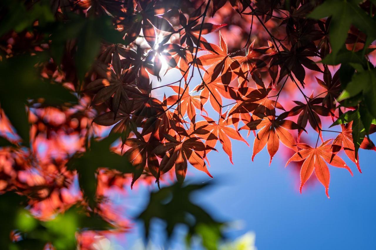 清境英格曼花園民宿 Renai Buitenkant foto
