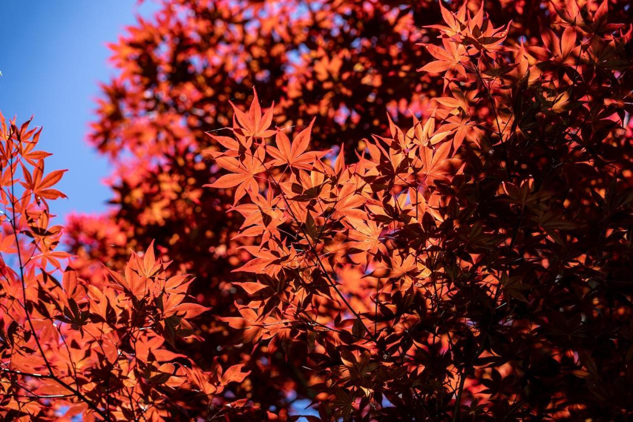 清境英格曼花園民宿 Renai Buitenkant foto